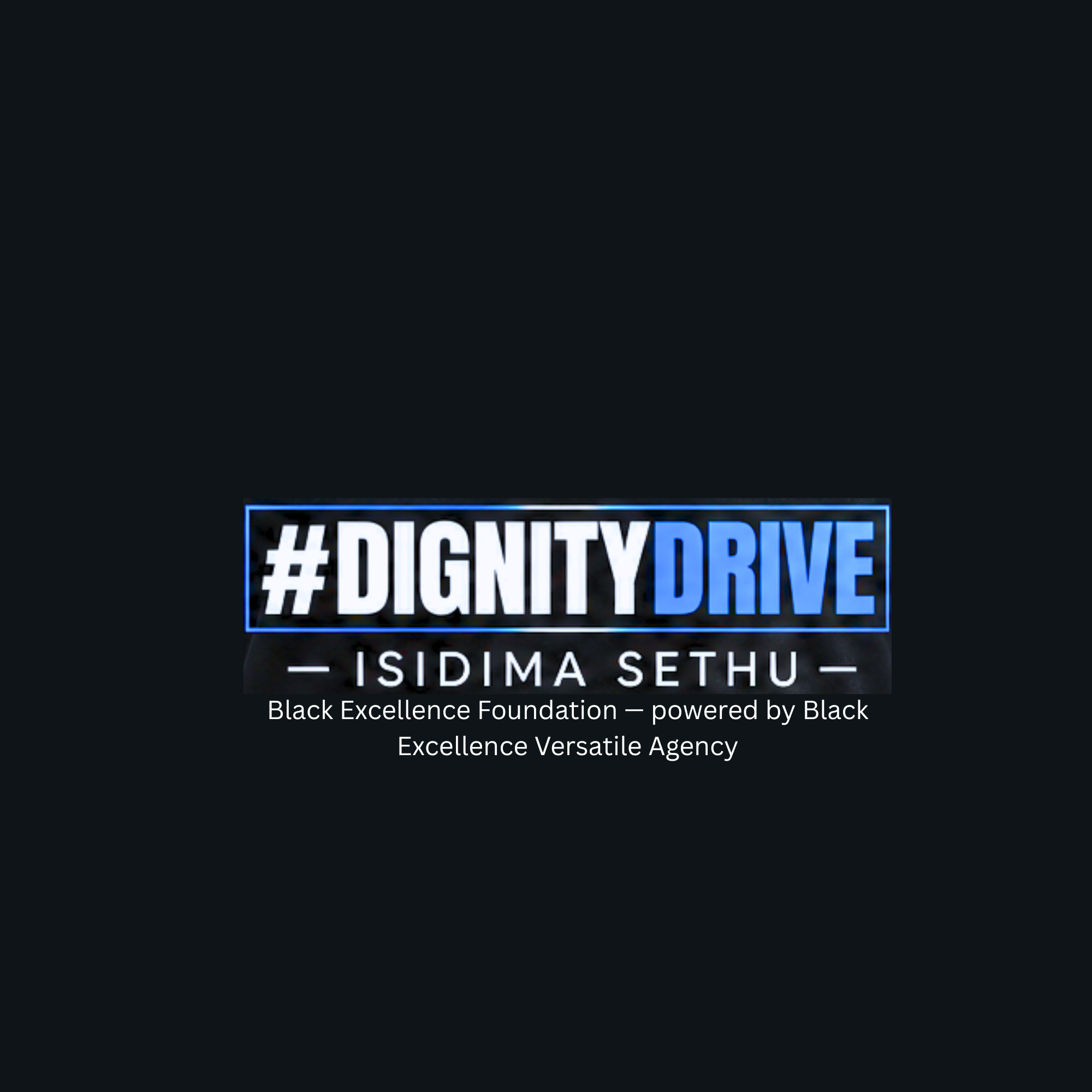 #DignityDrive — Isidima Sethu campaign logo